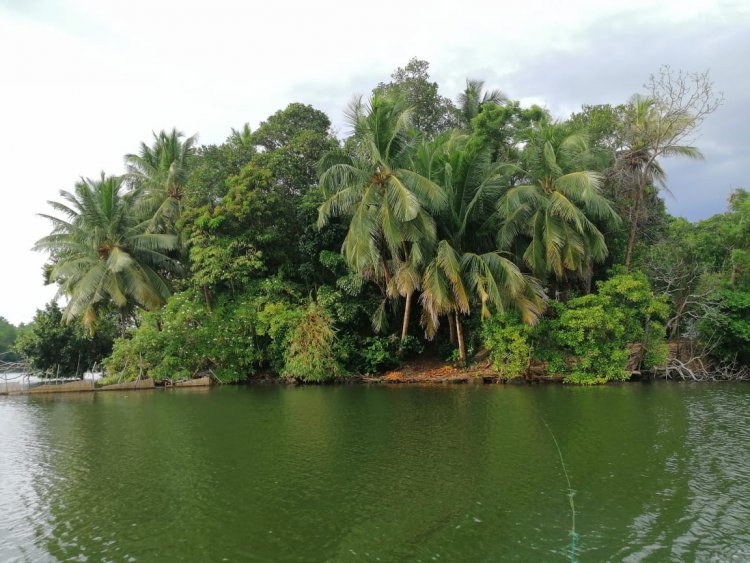 Satha Paha Island