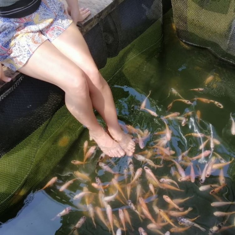 මාදුගගේ දෙදෙනෙක් (2) සදහා සවාරියක්