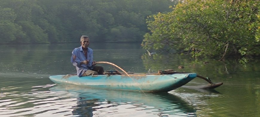 මාදුගගේ සවාරියක්
