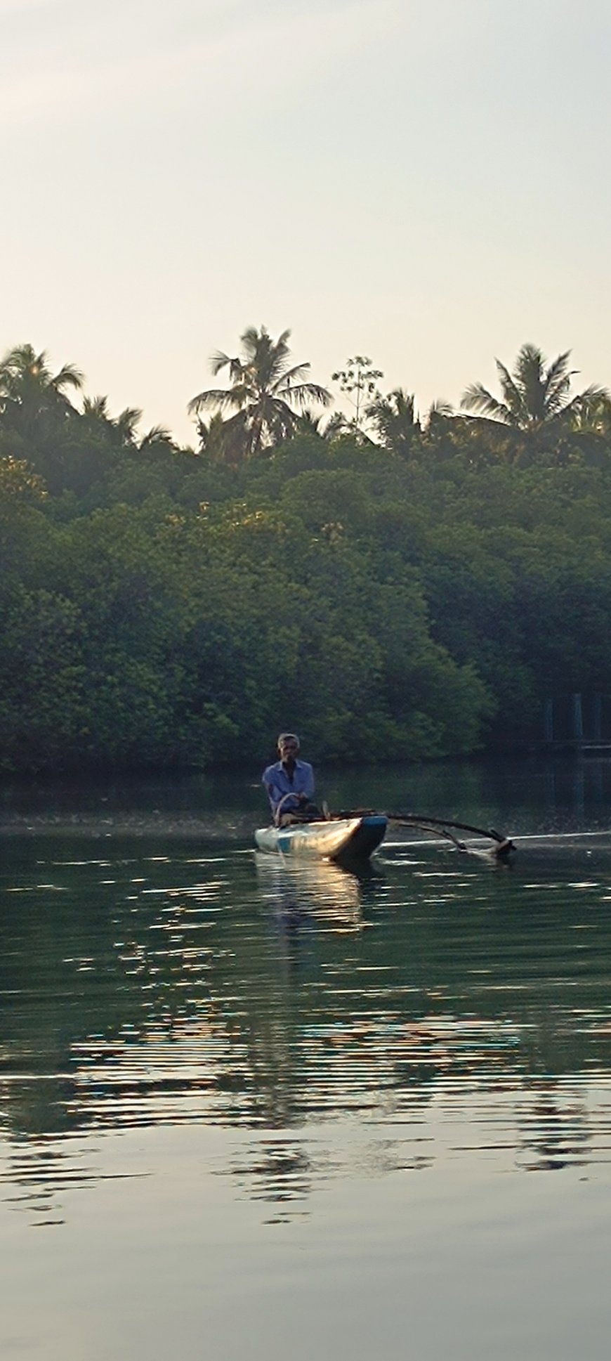 මාදුගගේ සවාරියක්