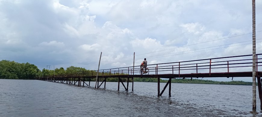 මාදුගගේ සවාරියක්
