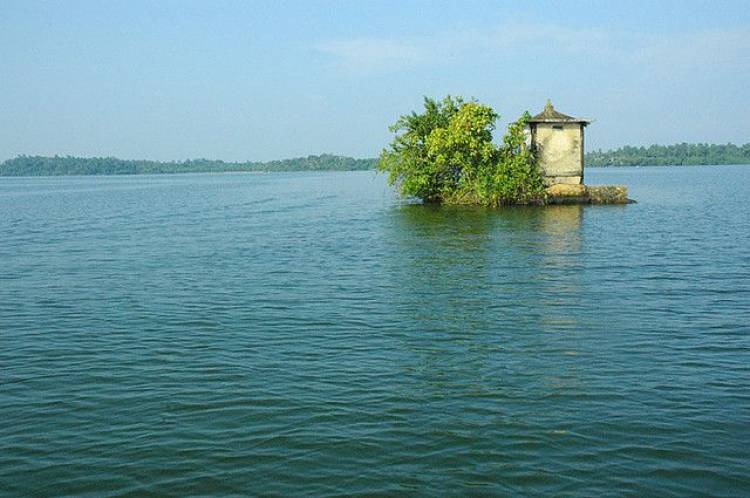 සතපහ දූව