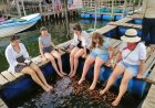 Fish Therapy (Foot Massage with Doctor Fish)