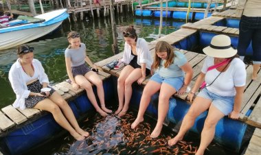 Fish Therapy (Foot Massage with Doctor Fish)