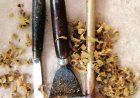 Demonstration of Cinnamon Production