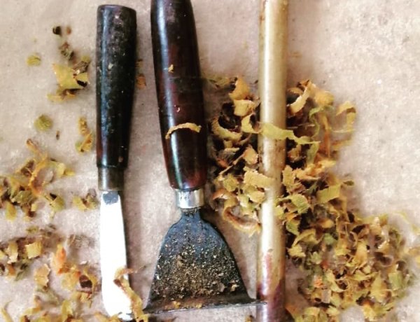 Demonstration of Cinnamon Production