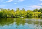 Madu River Safari Bugget Pack