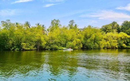 Madu River Safari Bugget Pack