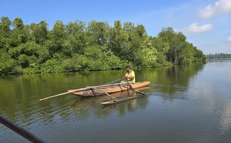 Madu River Boat Safari - Site Seeing and visiting places