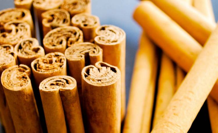 Introducing Spices
