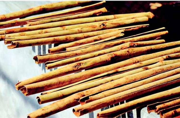 කුරුඳු දූපත්