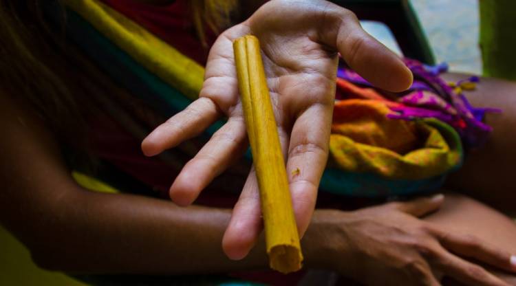 Demonstration of Cinnamon Production